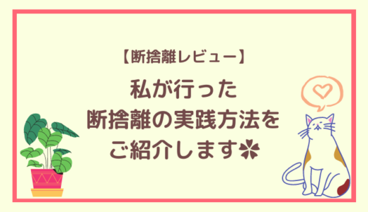断捨離を行って満足している猫のイラスト