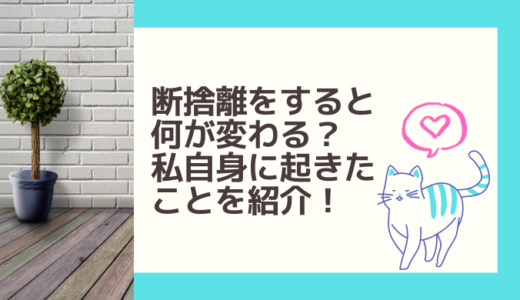 断捨離できたことに満足する猫