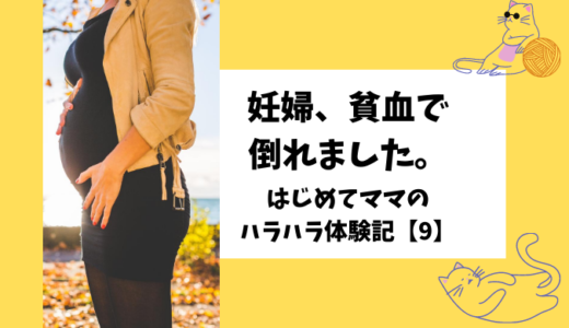 妊娠後期のちょこちょこ食べにはゼリー飲料がおすすめ ワックハック